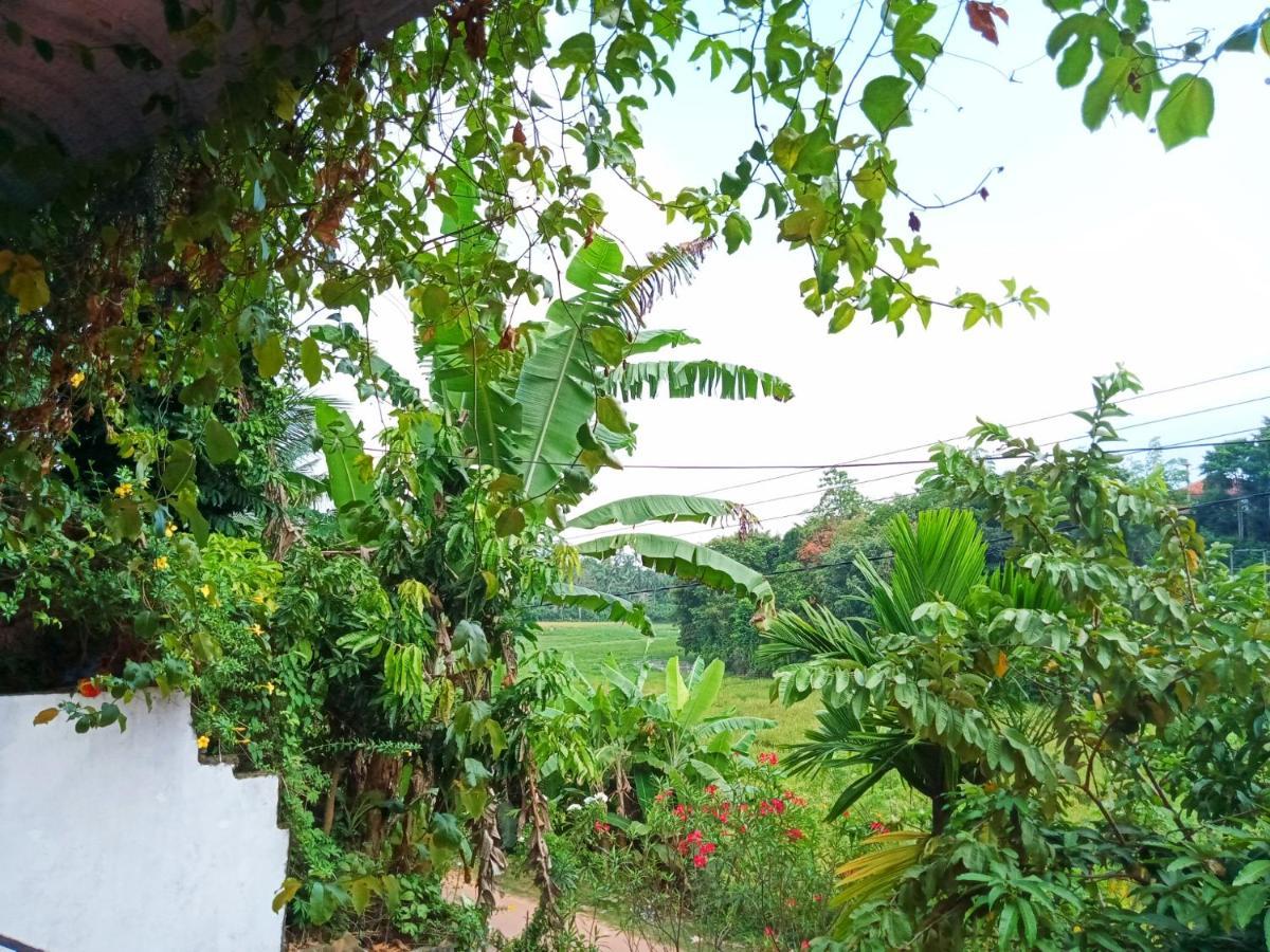 Green View Guest Mirissa Exterior foto