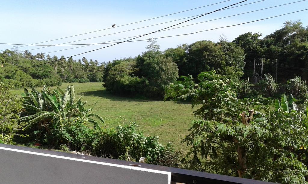 Green View Guest Mirissa Exterior foto